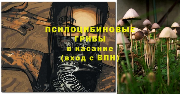 PSILOCYBIN Волосово