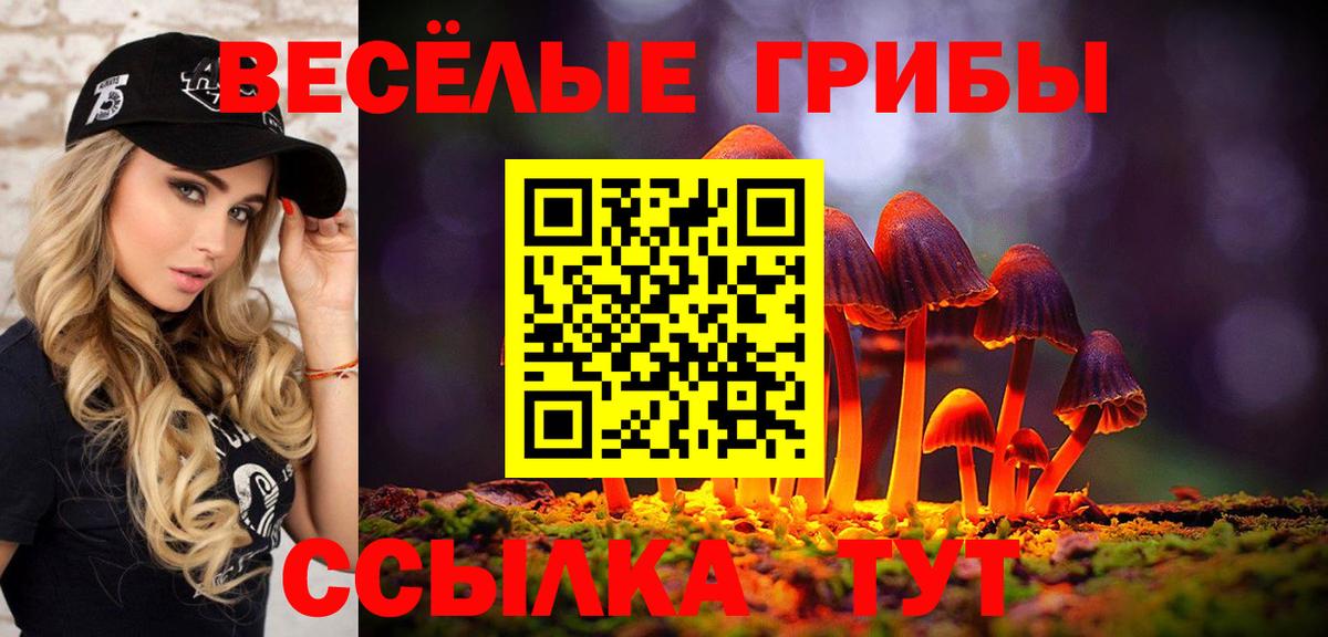 Галлюциногенные грибы Cubensis Урюпинск