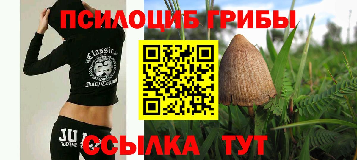 Урюпинск  Галлюциногенные грибы MAGIC MUSHROOMS  Вход с VPN 